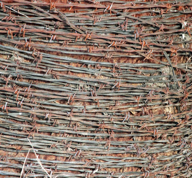 Barbwire