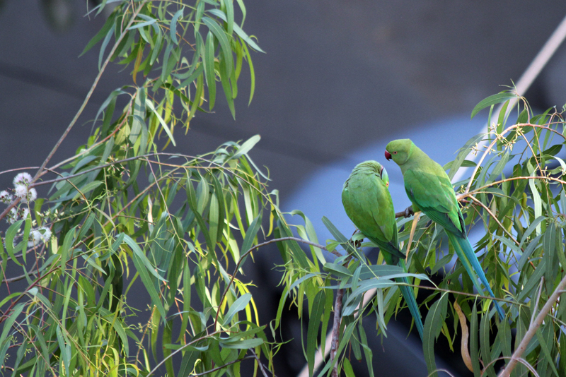 StreetPhotography-2212