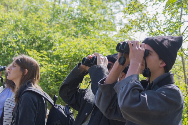 Magee Marsh, Crane Creek, BWIAB, Ohio, Birding