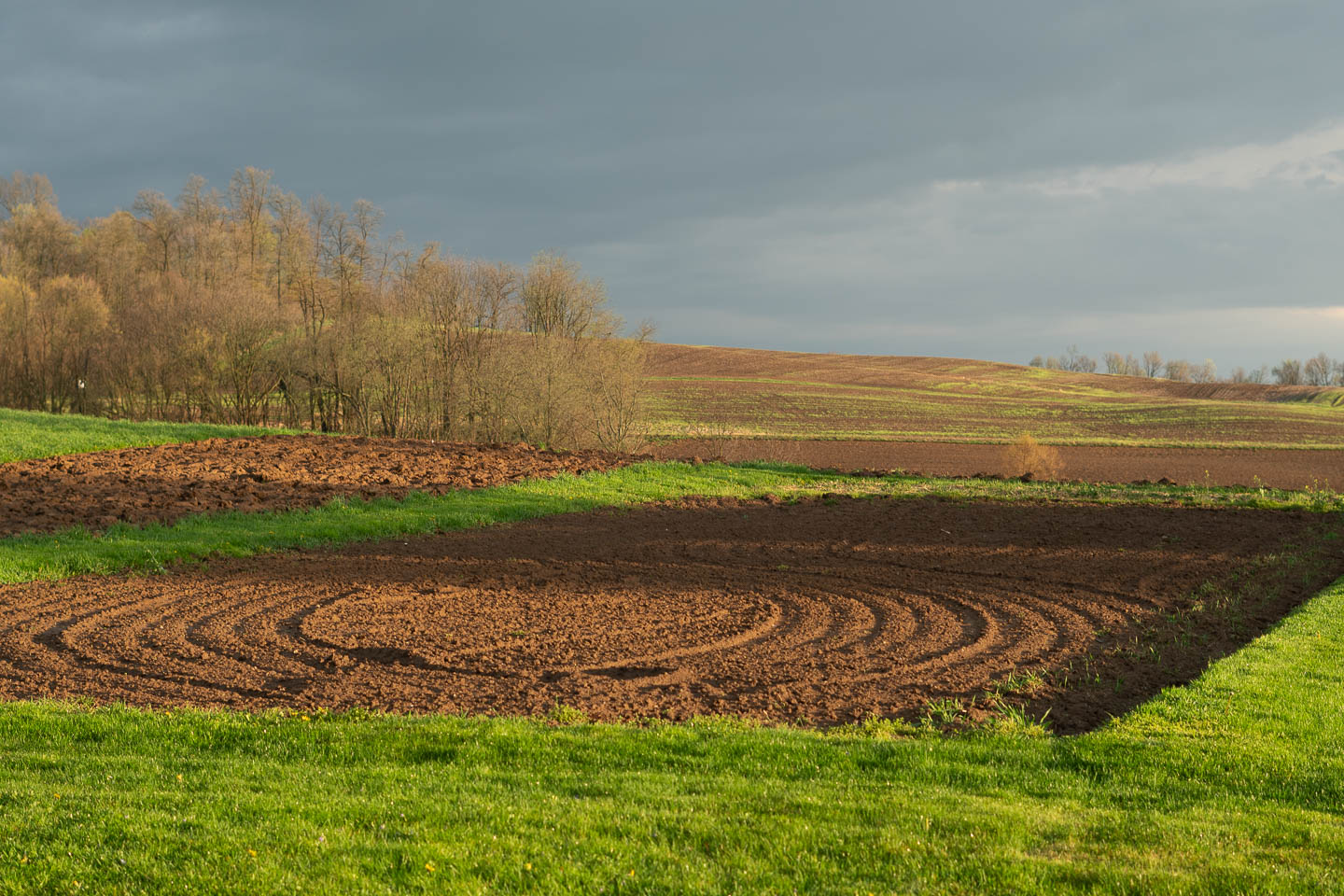 Geometric Farming | The Camerist's Collection