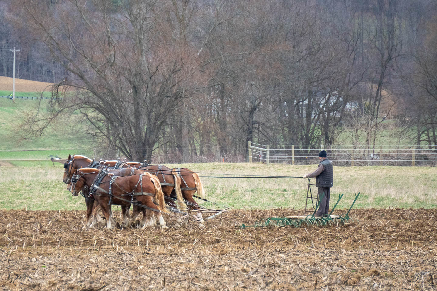 Spring Fieldwork | The Camerist's Collection
